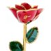 2nd Anniversary Gold Red Rose
