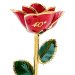 40th Anniversary Gold Red Rose