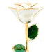 60th Anniversary Gold Diamond White Rose
