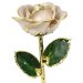 24k Gold Trimmed Pearl Rose