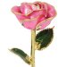 24k Gold Pink Rose