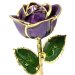 24k Gold Trimmed Purple Rose