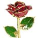 24k Gold Trimmed Red Rose