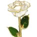 24k Gold Trimmed White Rose