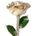 Platinum Trimmed Pearl Rose