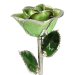 Platinum Trimmed Light Green Rose