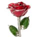 Platinum Trimmed Red Rose